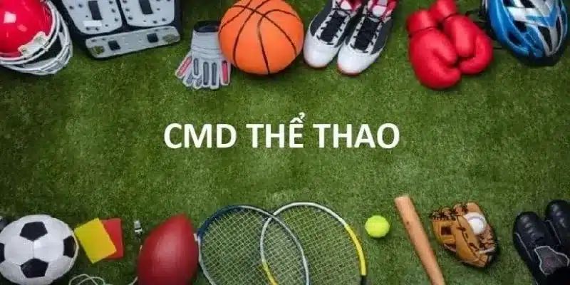Đa dạng hình thức giải trí cá độ khác nhau